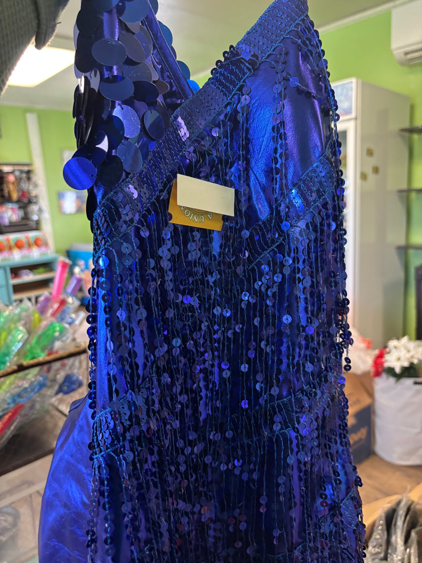 Flapper Dress Costume