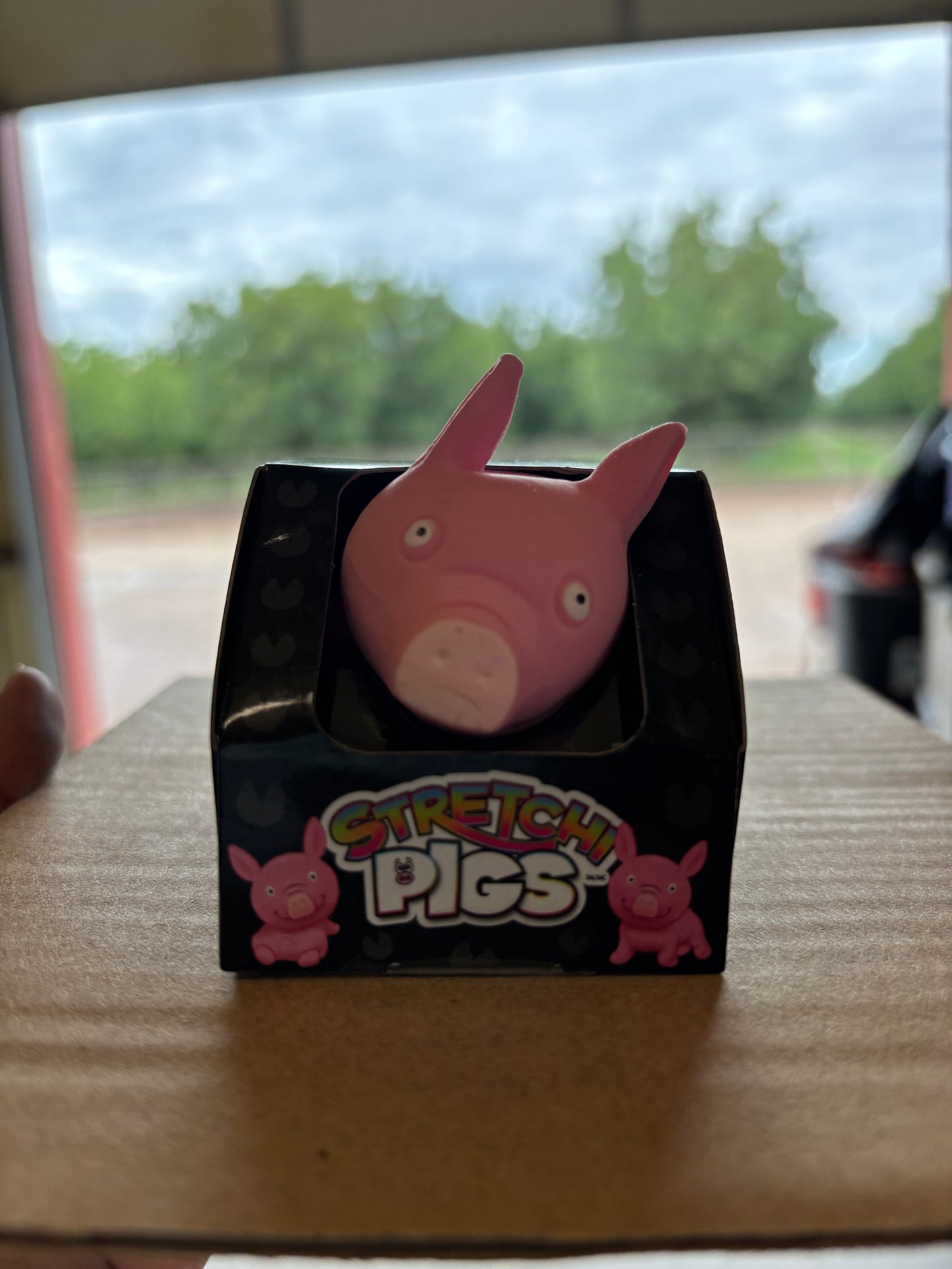 Stretchy Pigs