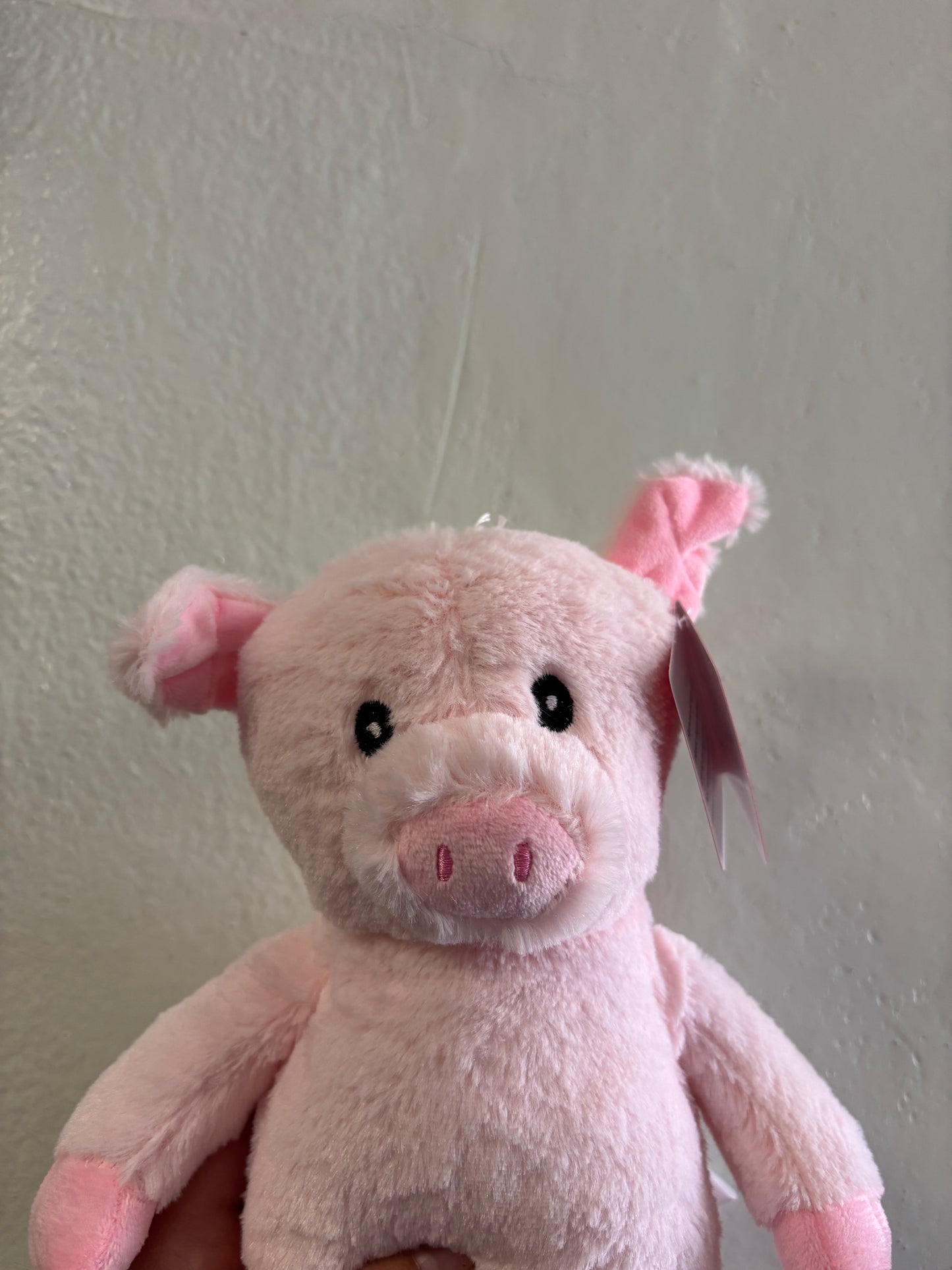 Upright Pig Plush