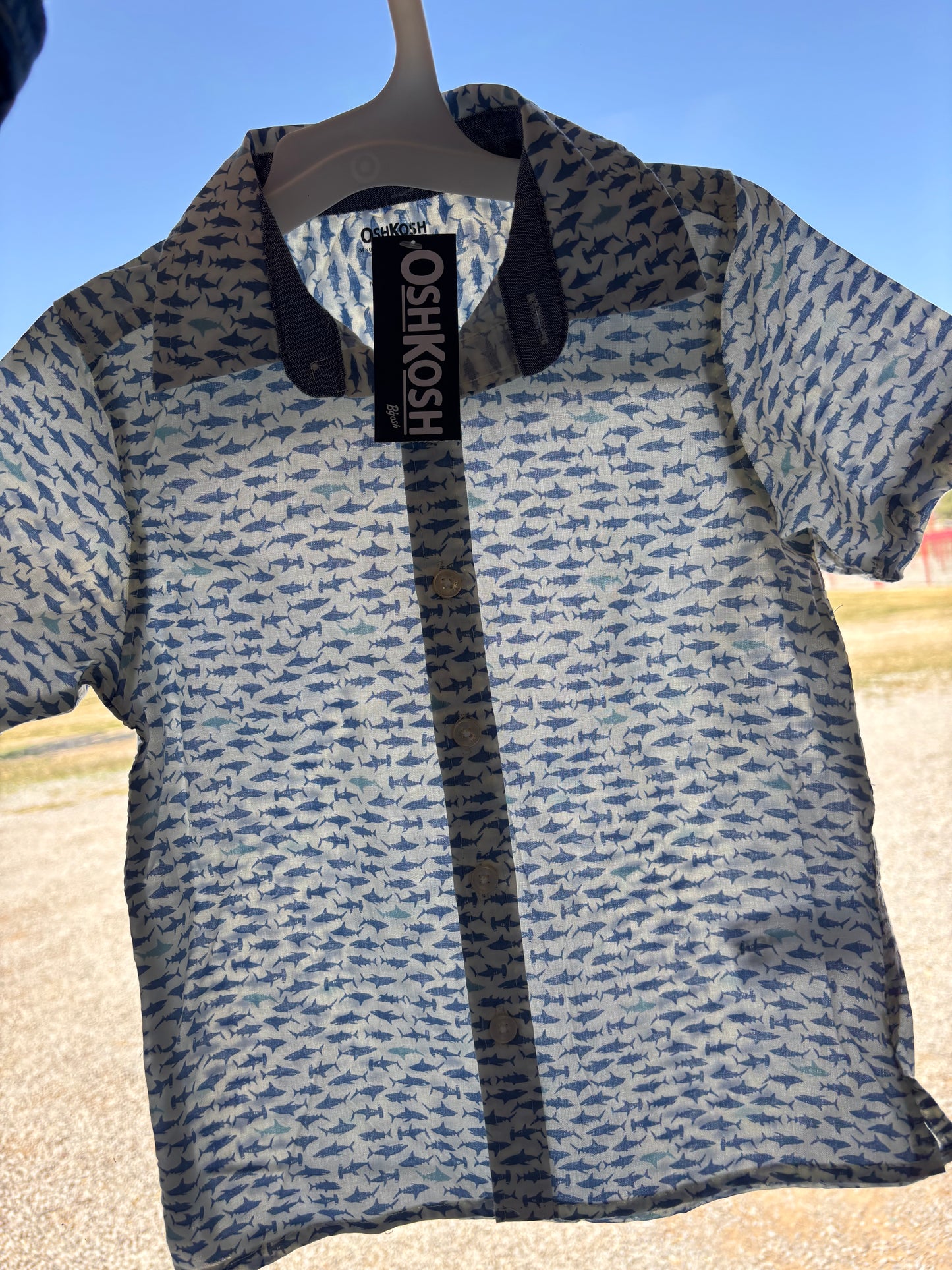 Shark Shirts