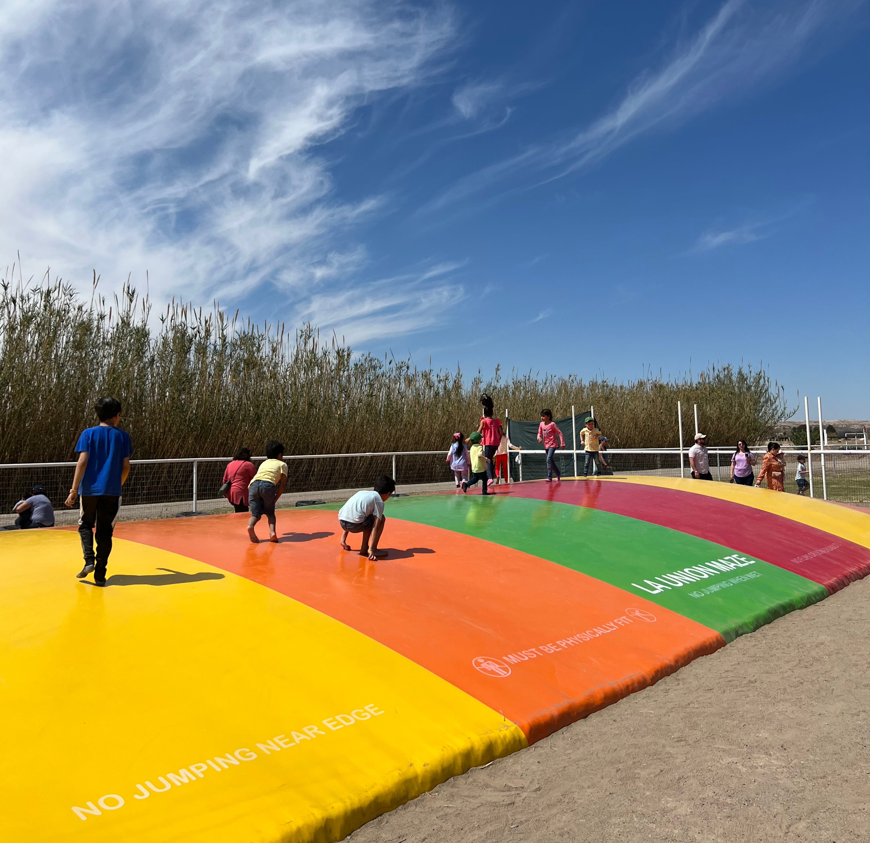 jumping pillow.HEIC__PID:1bcfbfef-3ebf-47ab-b611-5b9d92153acb