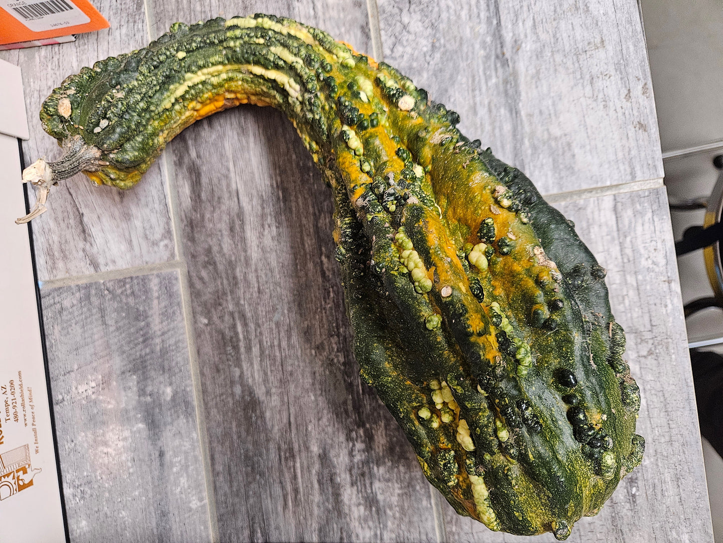 Large Gourd