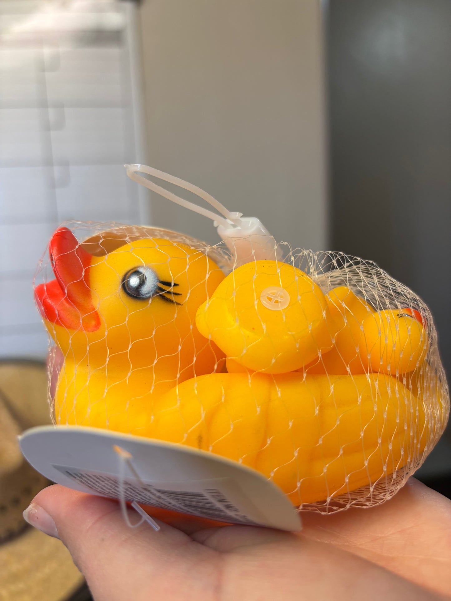 Rubber Ducky w/ Mini