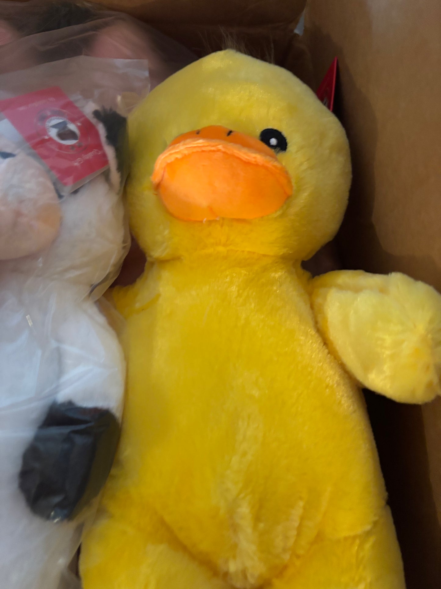 15 in Duck Plush